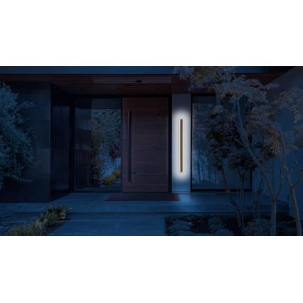 Επιτοίχιο φωτιστικό εξωτερικού χώρου LED STICK LED/12W/230V IP65 3000K 60 cm