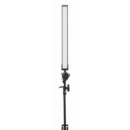 Επιτραπέζια λάμπα LED με κλιπ LED/10W/230V 2800-6800K
