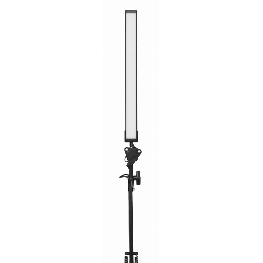 Επιτραπέζια λάμπα LED με κλιπ LED/10W/230V 2800-6800K