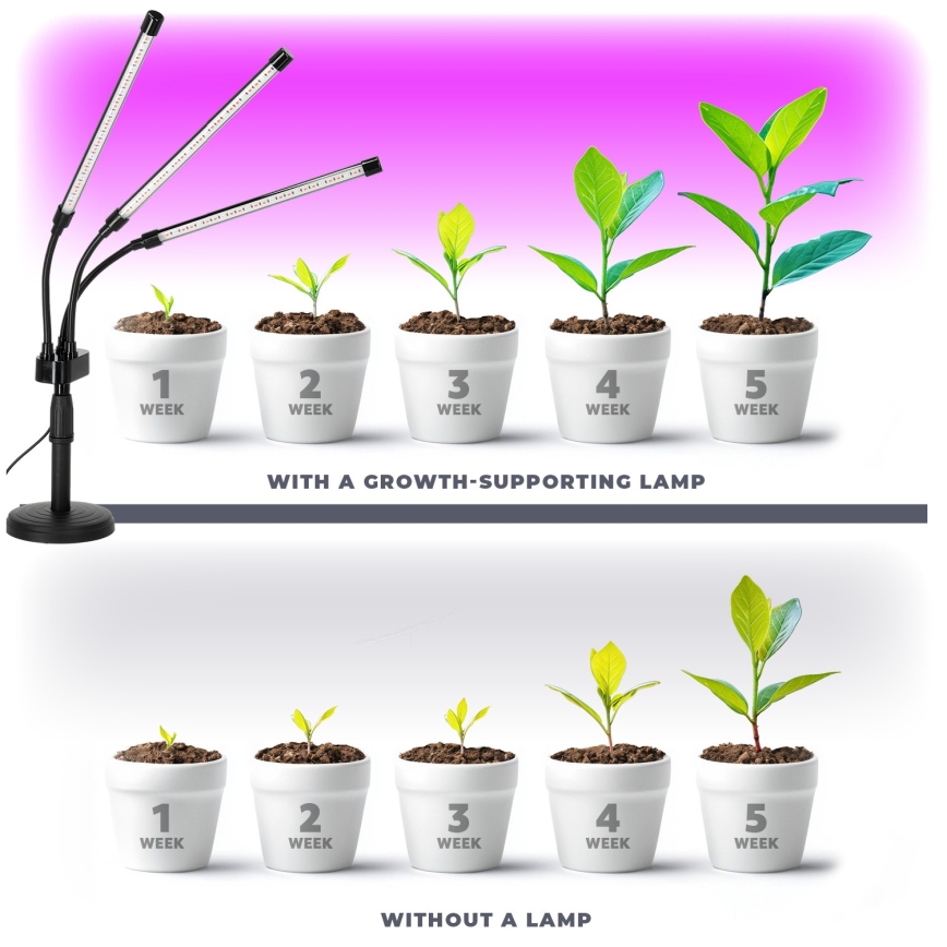LED Dimming εύκαμπτο Επιτραπέζιο φωτιστικό για ανάπτυξη φυτών VITARO 3xLED/10W/230V μαύρο
