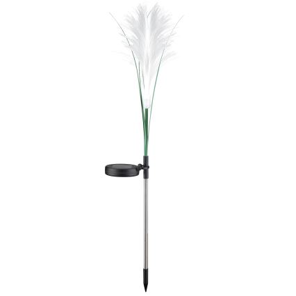 Ηλιακό φωτιστικό LED GRASS LED/1,2V 3000K 600 mAh IP44 μαύρο