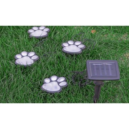 Ηλιακό φωτιστικό LED LED/0,14W/2V IP44 paws