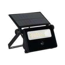 Ηλιακός προβολέας LED με αισθητήρα LED/30W/5,5V IP65