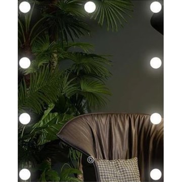 Καθρέφτης LED με φωτισμό 9xLED/1W/230V 3000/4000/6000K 50x40 εκ. IP44