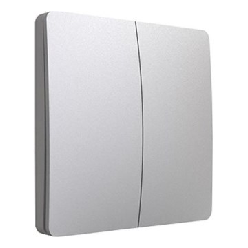 Κινητικός ασύρματος διακόπτης 2P IP67 ασημί