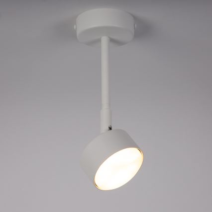 Κρεμαστό φωτιστικό NEMO 1xGX53/12W/230V 24 cm λευκό