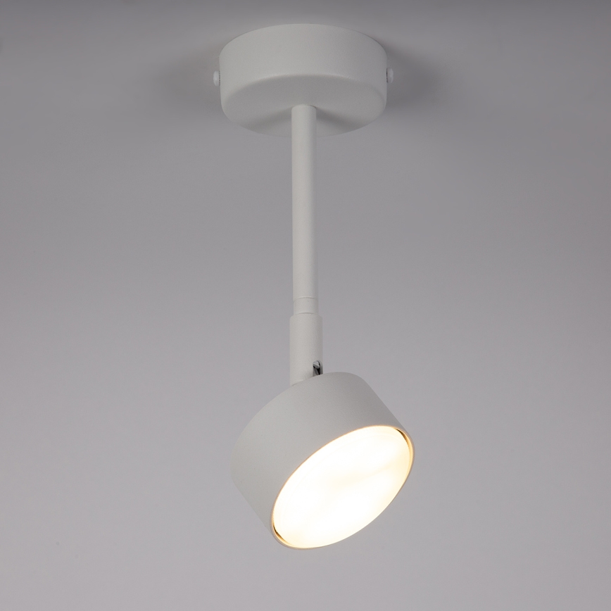 Κρεμαστό φωτιστικό NEMO 1xGX53/12W/230V 24 cm λευκό