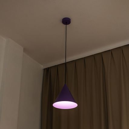 Κρεμαστό φωτιστικό με καλώδιο ETNA II 1xE27/15W/230V διάμ. 25 cm μωβ