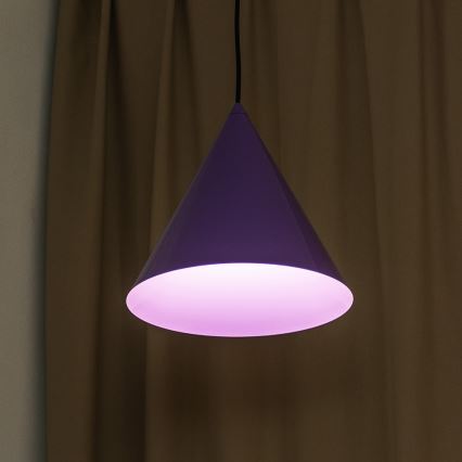 Κρεμαστό φωτιστικό με καλώδιο ETNA II 1xE27/15W/230V διάμ. 25 cm μωβ