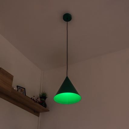Κρεμαστό φωτιστικό με καλώδιο ETNA II 1xE27/15W/230V, διάμ. 25 εκ., πράσινο