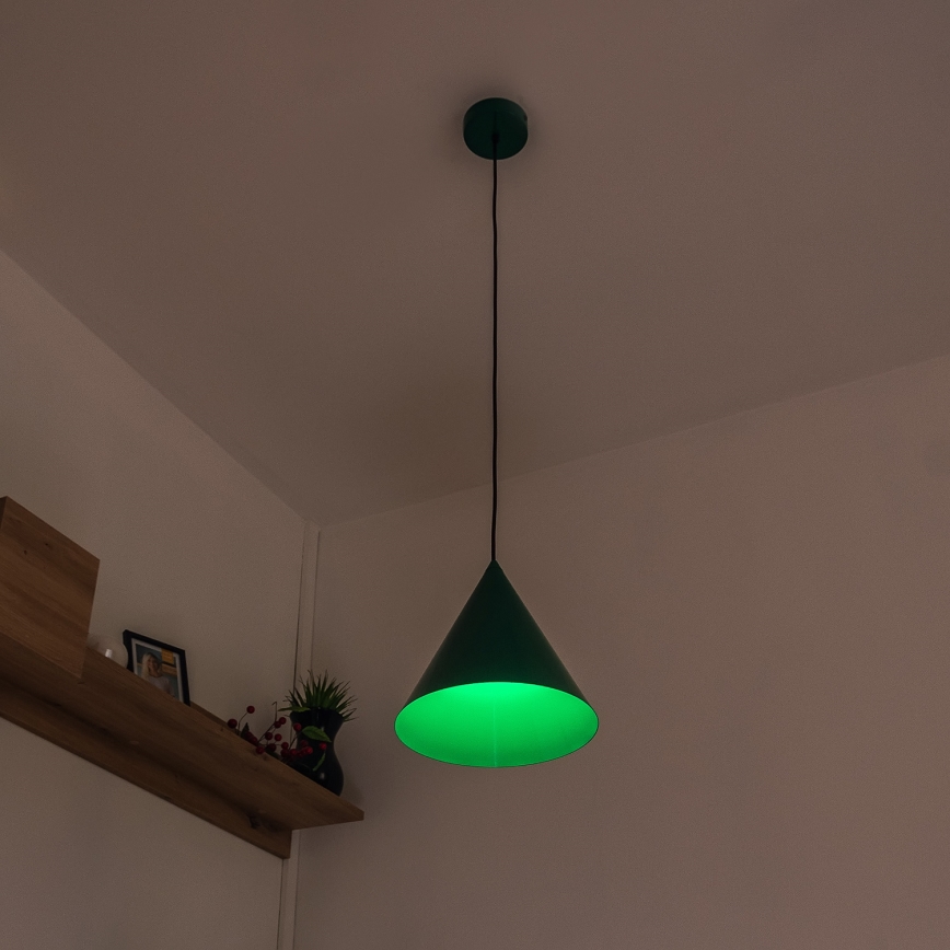 Κρεμαστό φωτιστικό με καλώδιο ETNA II 1xE27/15W/230V, διάμ. 25 εκ., πράσινο