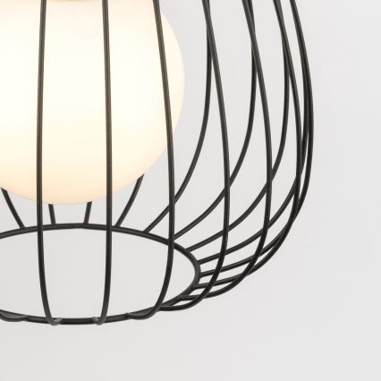 Κρεμαστό φωτιστικό οροφής BELL 1xG9/12W/230V διάμετρος 24 cm μαύρο/γυαλιστερό χρώμιο