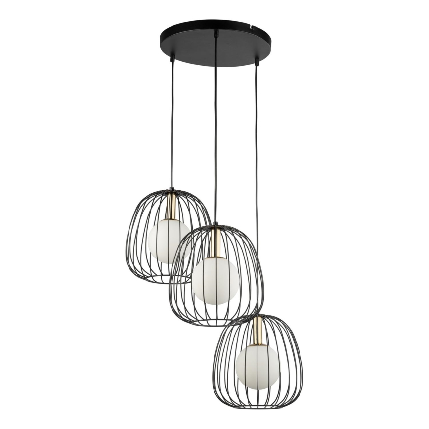Κρεμαστό φωτιστικό οροφής BELL 3xG9/12W/230V μαύρο/χρυσό