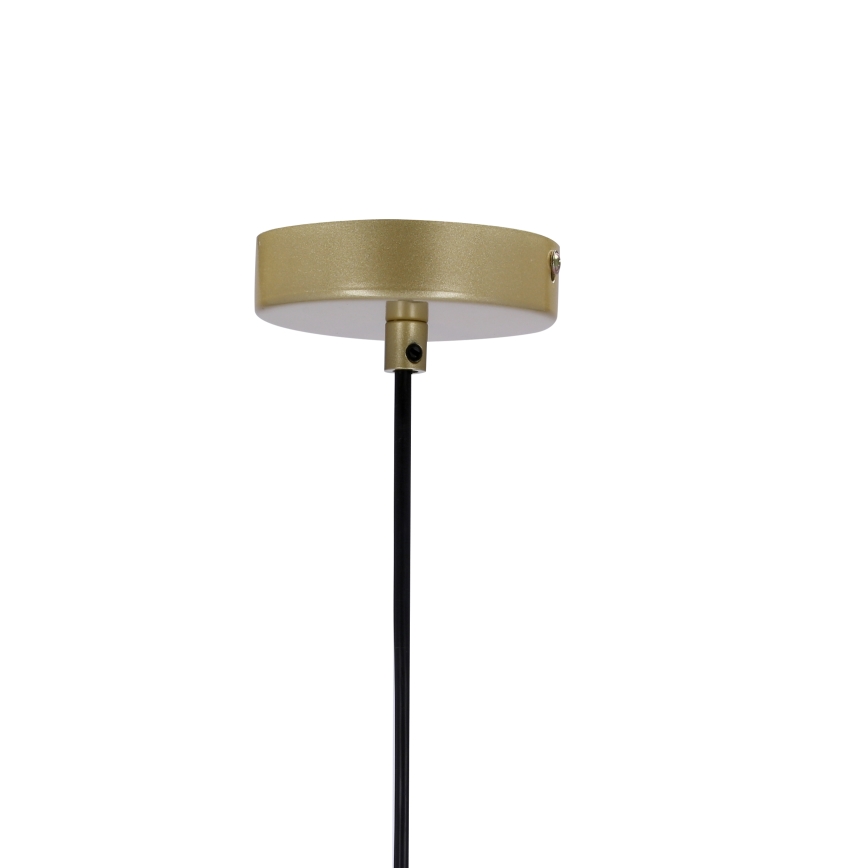 Κρεμαστό φωτιστικό οροφής DUO 2xE14/40W/230V χρυσαφί/μαύρο
