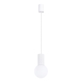 Κρεμαστό φωτιστικό οροφής HALO 1xG9/8W/230V διάμετρος 12 cm λευκό