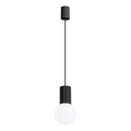 Κρεμαστό φωτιστικό οροφής HALO 1xG9/8W/230V διάμετρος 12 cm μαύρο