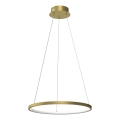 Κρεμαστό φωτιστικό οροφής LED HOOP LED/27W/230V διάμετρος 50 cm 4000K χρυσό