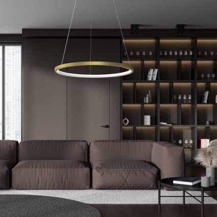 Κρεμαστό φωτιστικό οροφής LED HOOP LED/27W/230V διάμετρος 50 cm 4000K χρυσό