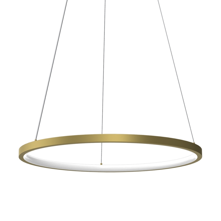 Κρεμαστό φωτιστικό οροφής LED HOOP LED/27W/230V διάμετρος 50 cm 4000K χρυσό