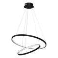 Κρεμαστό φωτιστικό οροφής LED HOOP LED/51W/230V διάμετρος 60 cm 4000K μαύρο