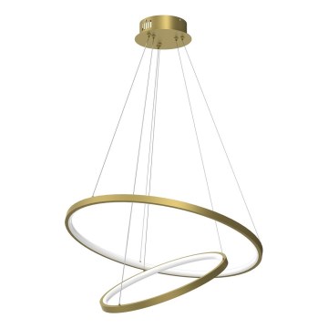 Κρεμαστό φωτιστικό οροφής LED HOOP LED/51W/230V διάμετρος 60 cm 4000K χρυσό