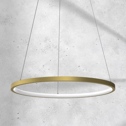 Κρεμαστό φωτιστικό οροφής LED  ROTONDA LED/27W/230V χρυσό