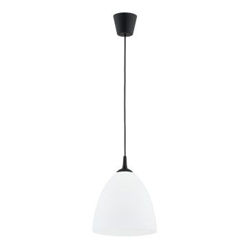 Κρεμαστό φωτιστικό οροφής LERA 1xE27/15W/230V μαύρο