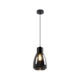Κρεμαστό φωτιστικό οροφής MOLDO 1xE27/40W/230V μαύρο/φιμέ μαύρο