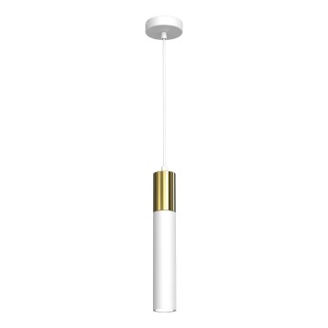 Κρεμαστό φωτιστικό οροφής μονόφωτο CASSA 1xGU10/8W/230V λευκό/χρυσαφί