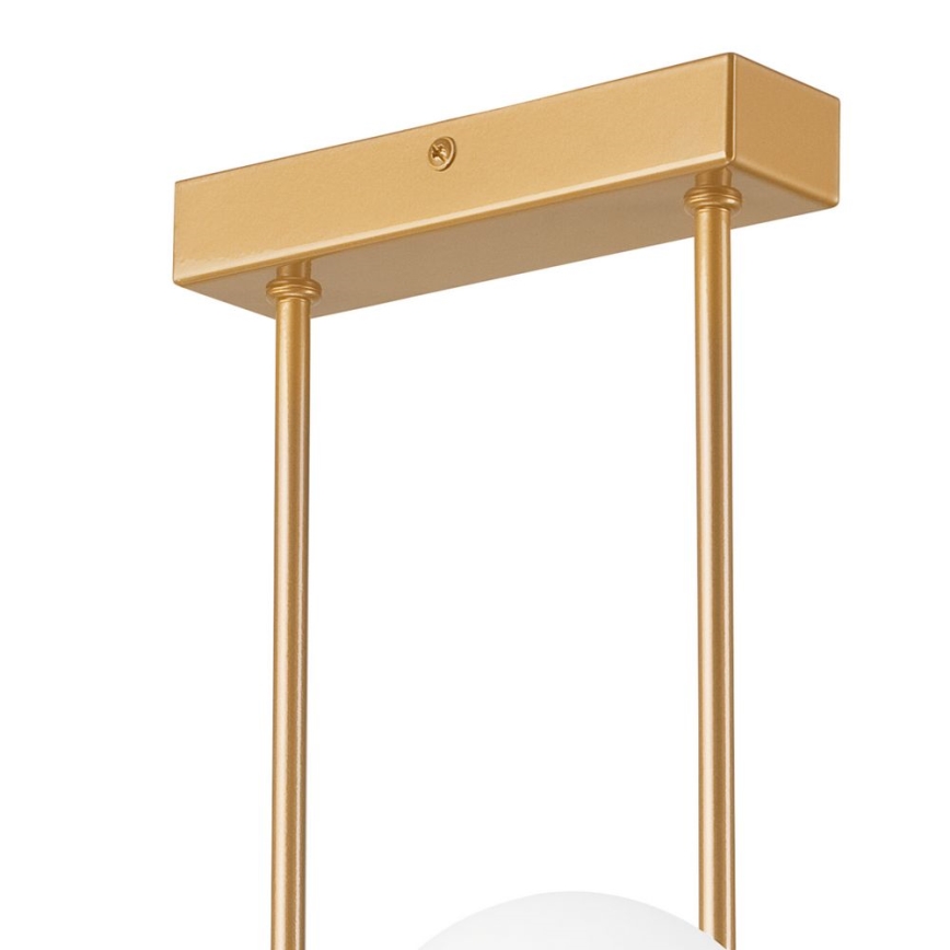 Κρεμαστό φωτιστικό οροφής ράγα ASTRO 4xG9/5W/230V χρυσό