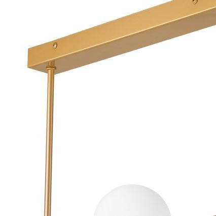 Κρεμαστό φωτιστικό οροφής ράγα ASTRO 6xG9/5W/230V χρυσό