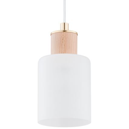 Κρεμαστό φωτιστικό οροφής ράγα EVIC 3xE27/60W/230V