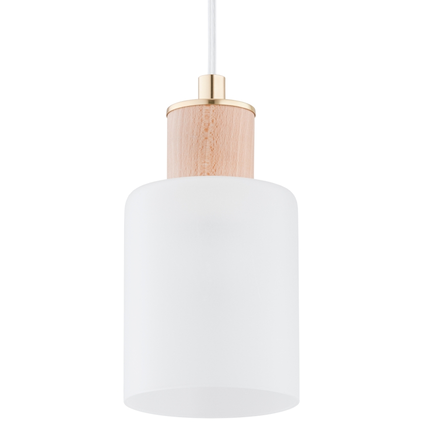 Κρεμαστό φωτιστικό οροφής ράγα EVIC 3xE27/60W/230V