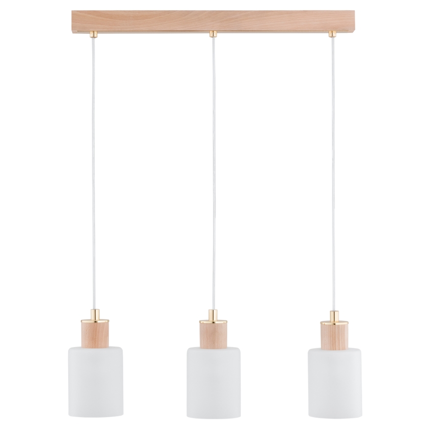 Κρεμαστό φωτιστικό οροφής ράγα EVIC 3xE27/60W/230V