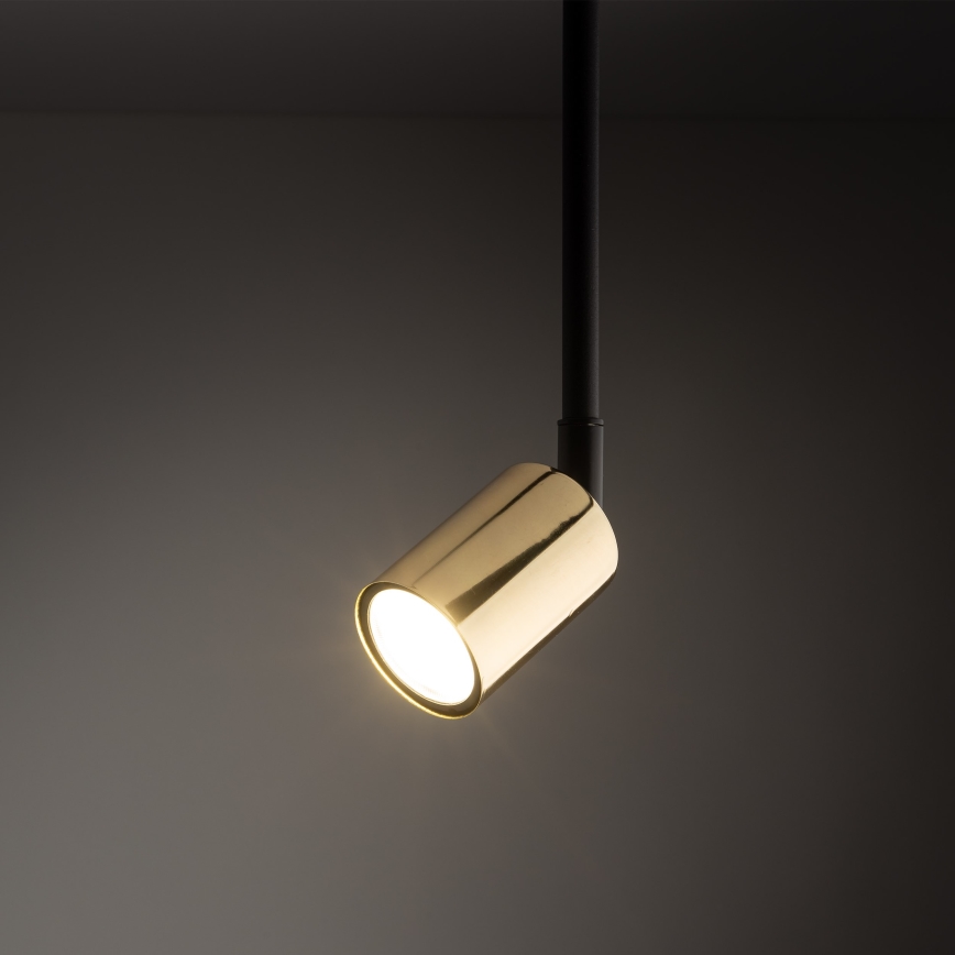 Κρεμαστό φωτιστικό ράγας TOP 1xGU10/10W/230V χρυσό/μαύρο
