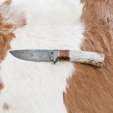 Κυνηγετικό μαχαίρι Δαμασκού 12 cm στάχτη/κέρατο ελαφιού