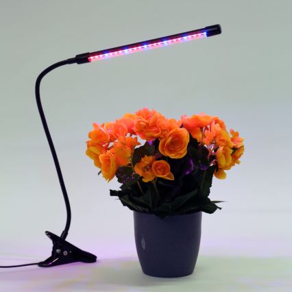 Λάμπα dimming LED με κλιπ για lighting plants LED/3W/230V μαύρο