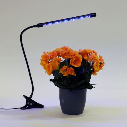 Λάμπα dimming LED με κλιπ για lighting plants LED/3W/230V μαύρο