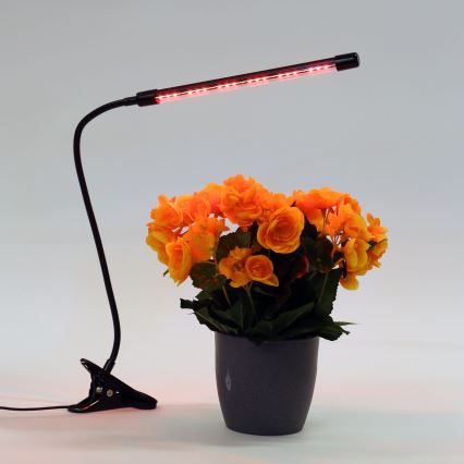 Λάμπα dimming LED με κλιπ για lighting plants LED/3W/230V μαύρο