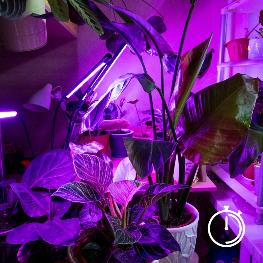 LED Dimming εύκαμπτο Επιτραπέζιο φωτιστικό με κλιπ για ανάπτυξη φυτών VITARO 3xLED/10W/230V μαύρο