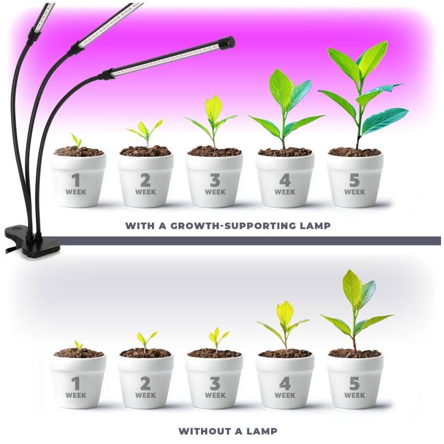LED Dimming εύκαμπτο Επιτραπέζιο φωτιστικό με κλιπ για ανάπτυξη φυτών VITARO 3xLED/10W/230V μαύρο