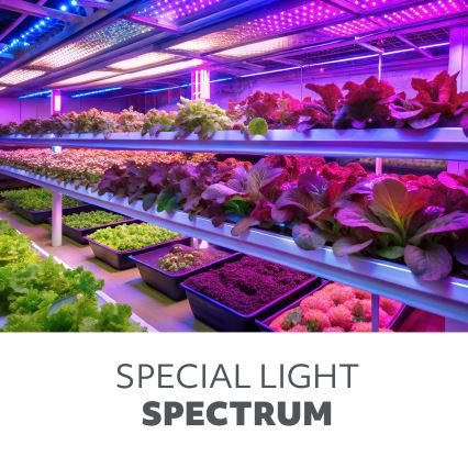 LED Dimming εύκαμπτο Επιτραπέζιο φωτιστικό με κλιπ για ανάπτυξη φυτών VITARO 3xLED/10W/230V μαύρο