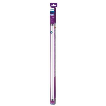 Λάμπα LED Philips T8 G13/8W/230V 6500K 60 cm