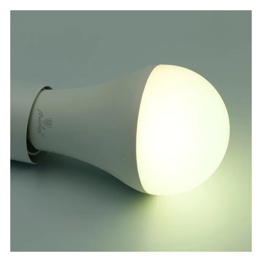 Λάμπα LED RGBW Dimmable A60 E27/15W/230V 2700-6500K Wi-Fi Tuya