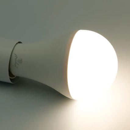Λάμπα LED RGBW Dimmable A60 E27/15W/230V 2700-6500K Wi-Fi Tuya