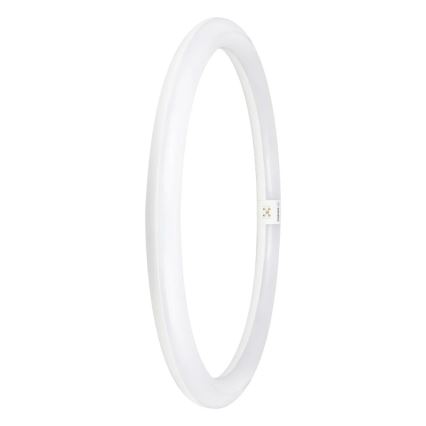 Λάμπα σωληνωτή LED G10q/24W/230V 6500K - Osram