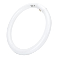 Λάμπα σωληνωτή LED T9 G24q-1/32W/230V 6500K - Aigostar