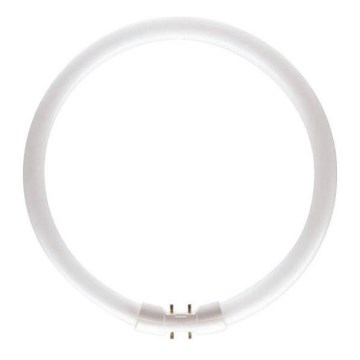 Λάμπα φθορίου κυκλική Philips MASTER 2GX13/60W/230V 4000K