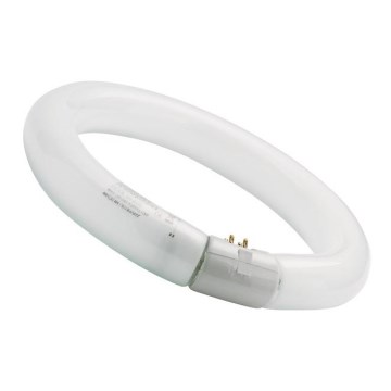 Λάμπα φθορισμού κυκλική CIRCLINE T9 G10q/22W/230V 4000K δ. 208 mm - Sylvania