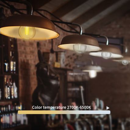 Λαμπτήρας Dimming LED FILAMENT G45 E27/4,5W/230V 2700-6500K Wi-Fi - Aigostar